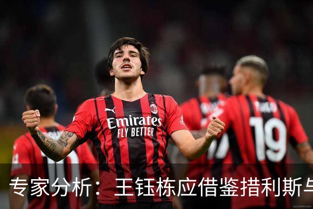 专家分析：王钰栋应借鉴措利斯与马丁内利提升素质