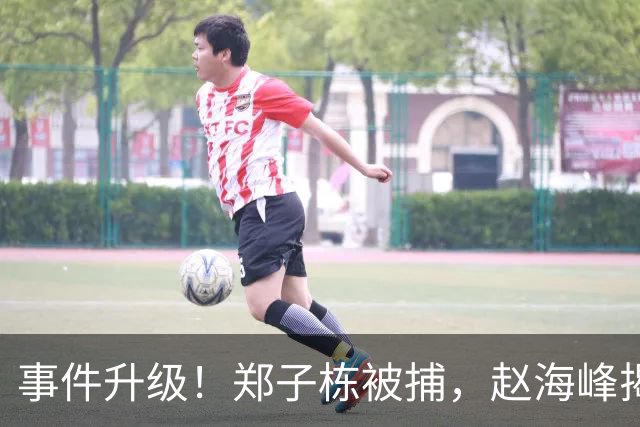 事件升级！郑子栋被捕，赵海峰揭露地产圈黑幕，两大企业出手整治